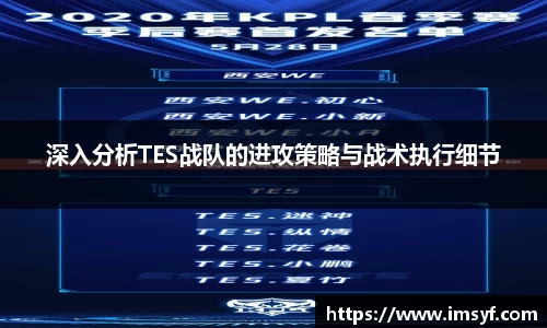 深入分析TES战队的进攻策略与战术执行细节